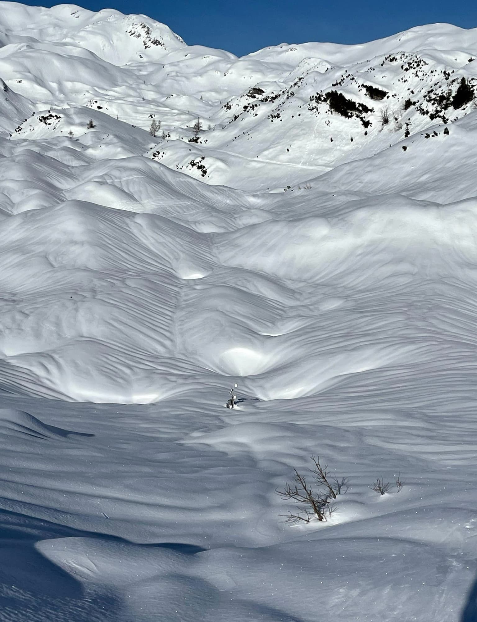 Snow-covered mountain landscape with undulating snowdrifts, sparse trees, and a small human figure in the distance under a clear blue sky