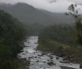 Un río con rocas fluye a través de un desfiladero boscoso con montañas al fondo bajo cielos nublados