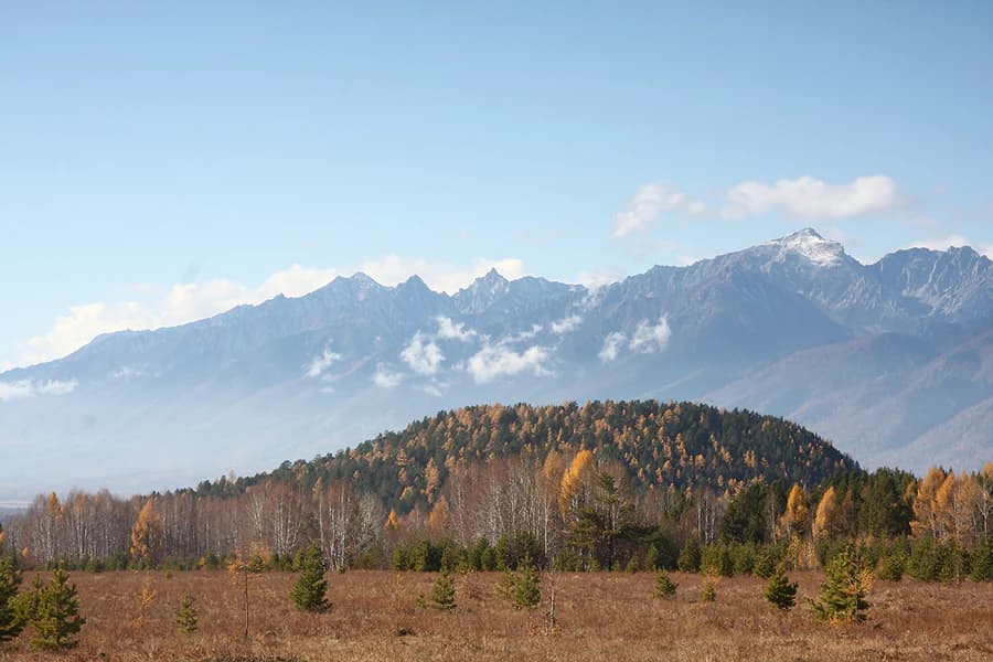 Wide landscape view of a mountainous region with forested hills, grassy plains in the foreground, and snow-capped mountains in the background under a clear sky