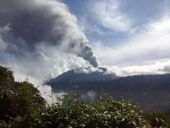 Volcán en erupción con columna de humo, vegetación verde en primer plano, cielo nublado