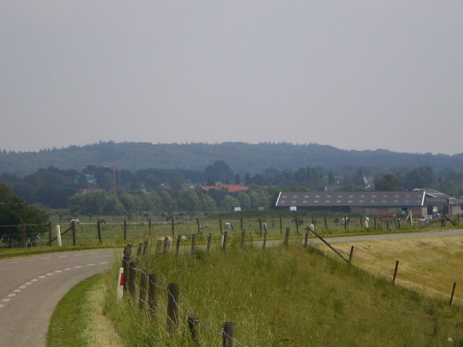 A road curves through grassy fields bordered by a fence, with distant trees and buildings under a hazy sky