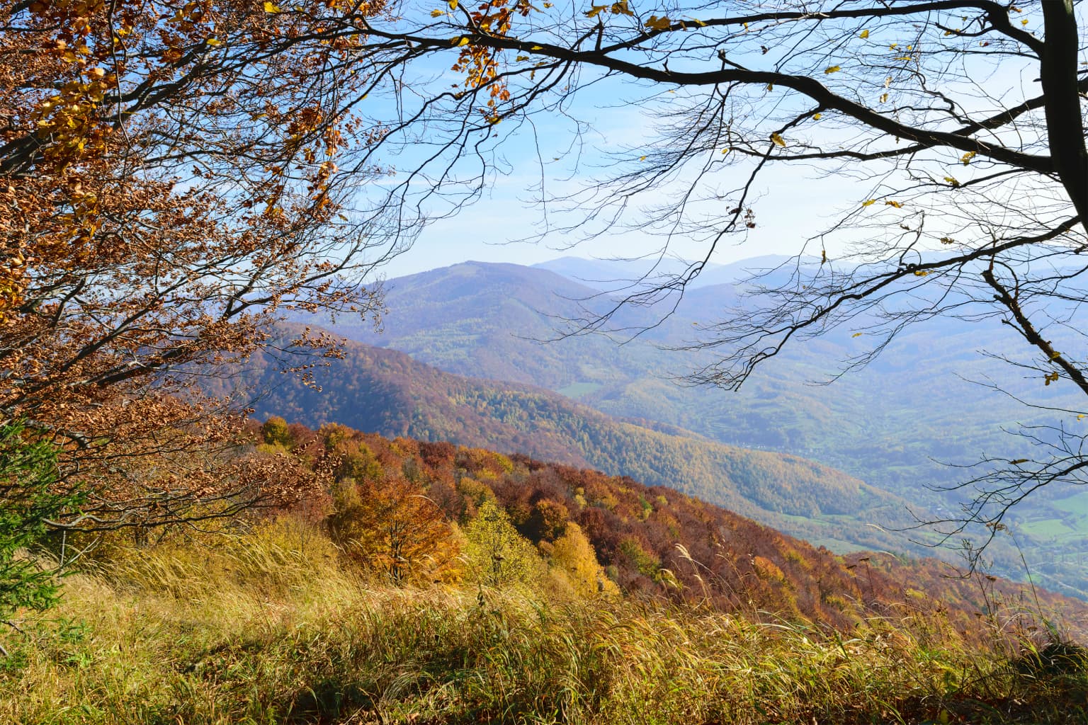 Autumnal forest landscape with rolling mountain ranges under a clear blue sky, viewed from an elevated position with tree branches in the foreground