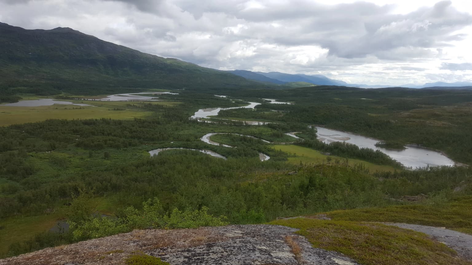 Wide aerial view of a delta landscape with meandering rivers, green forests, and rocky terrain under a cloudy sky
