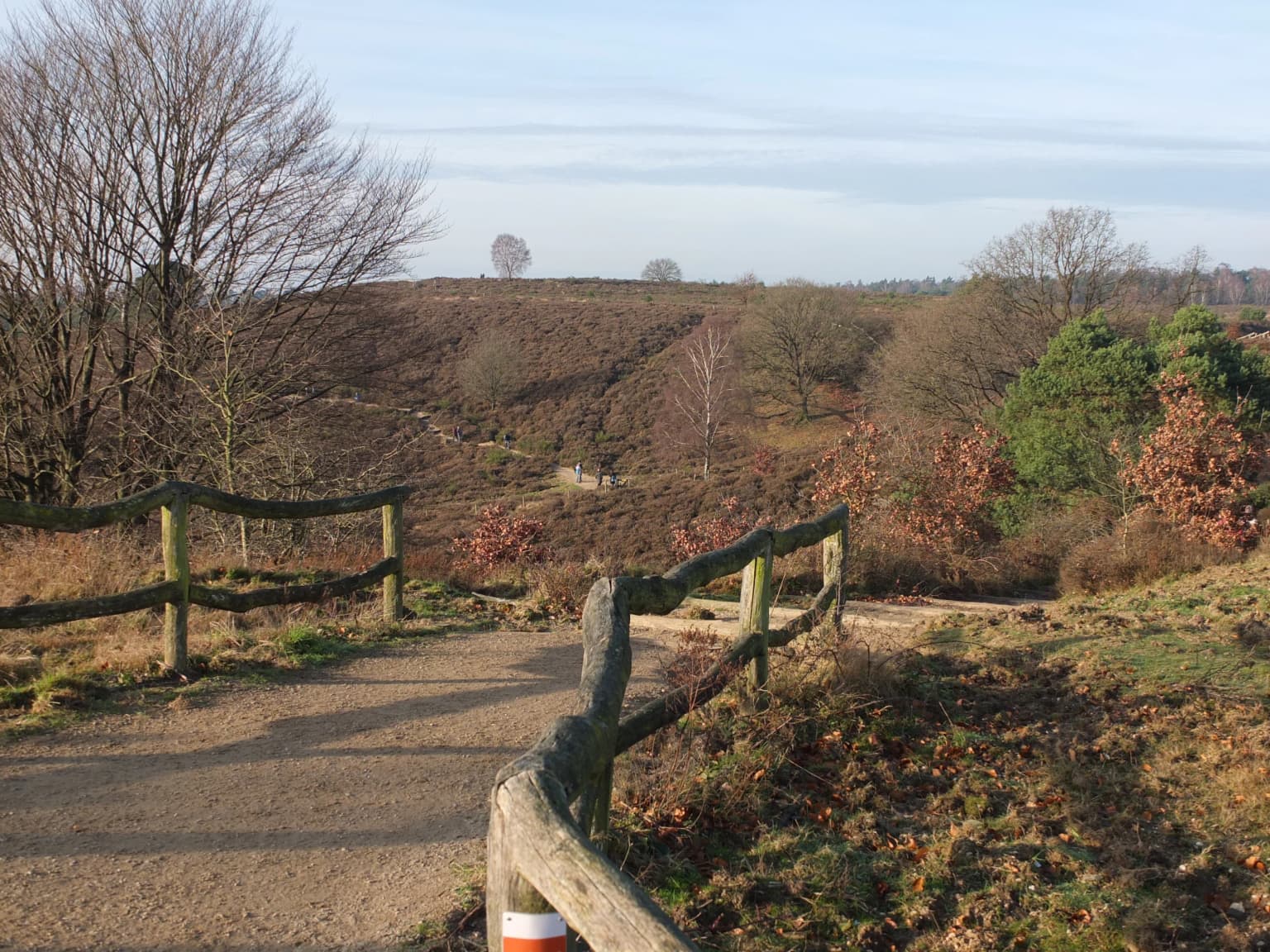 Dirt path with wooden railings leading to a hilltop viewpoint with sparse trees and a red-and-white striped signpost