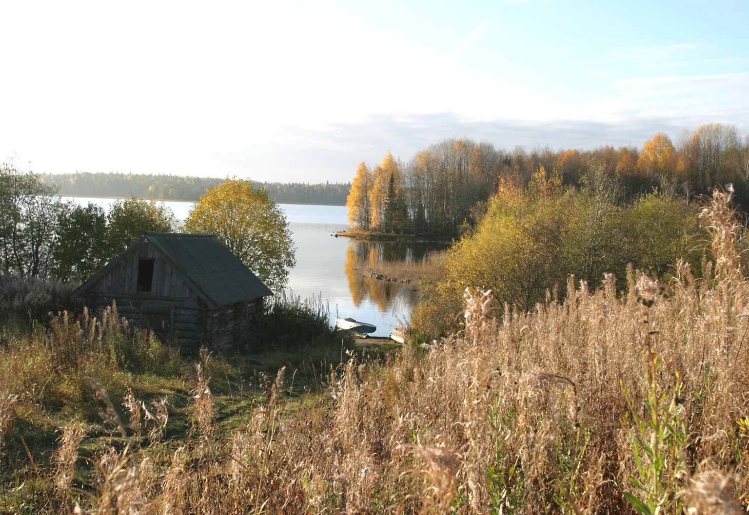 Wooden cabin on a grassy hillside overlooking a lake with autumn-colored trees and tall grasses in the foreground