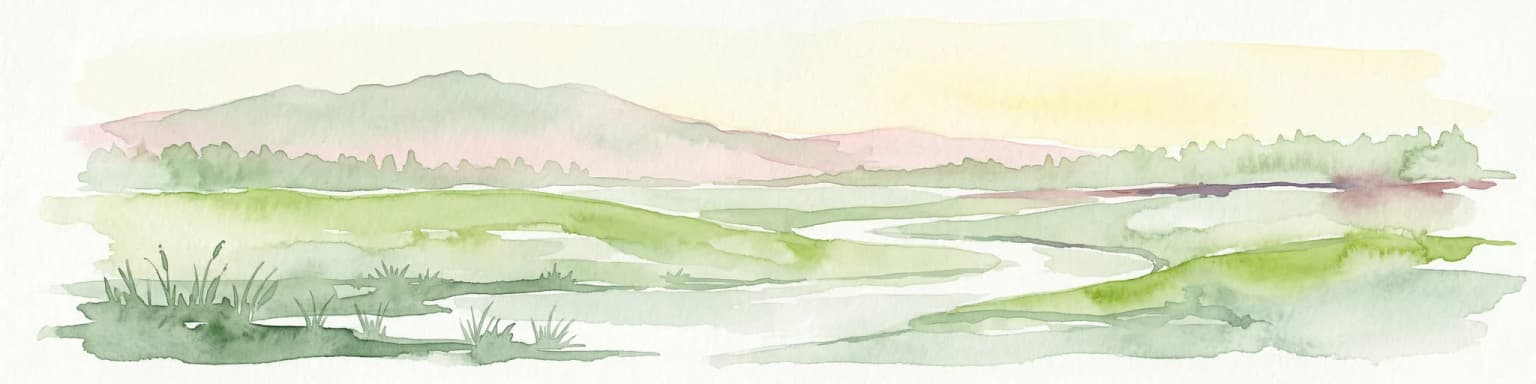 Watercolor painting of a wetland scene with a winding river, grassy areas, and distant hills