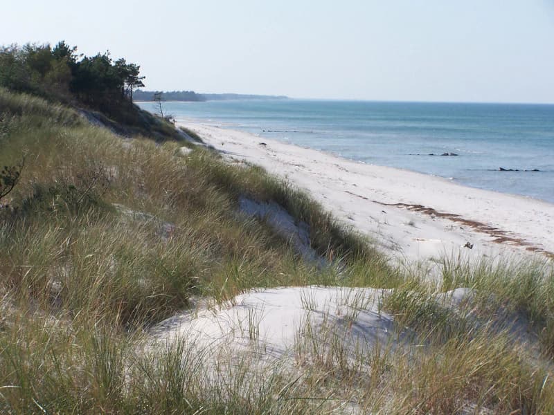 Paisaje costero con playa arenosa, dunas cubiertas de hierba y el mar Báltico bajo un cielo despejado