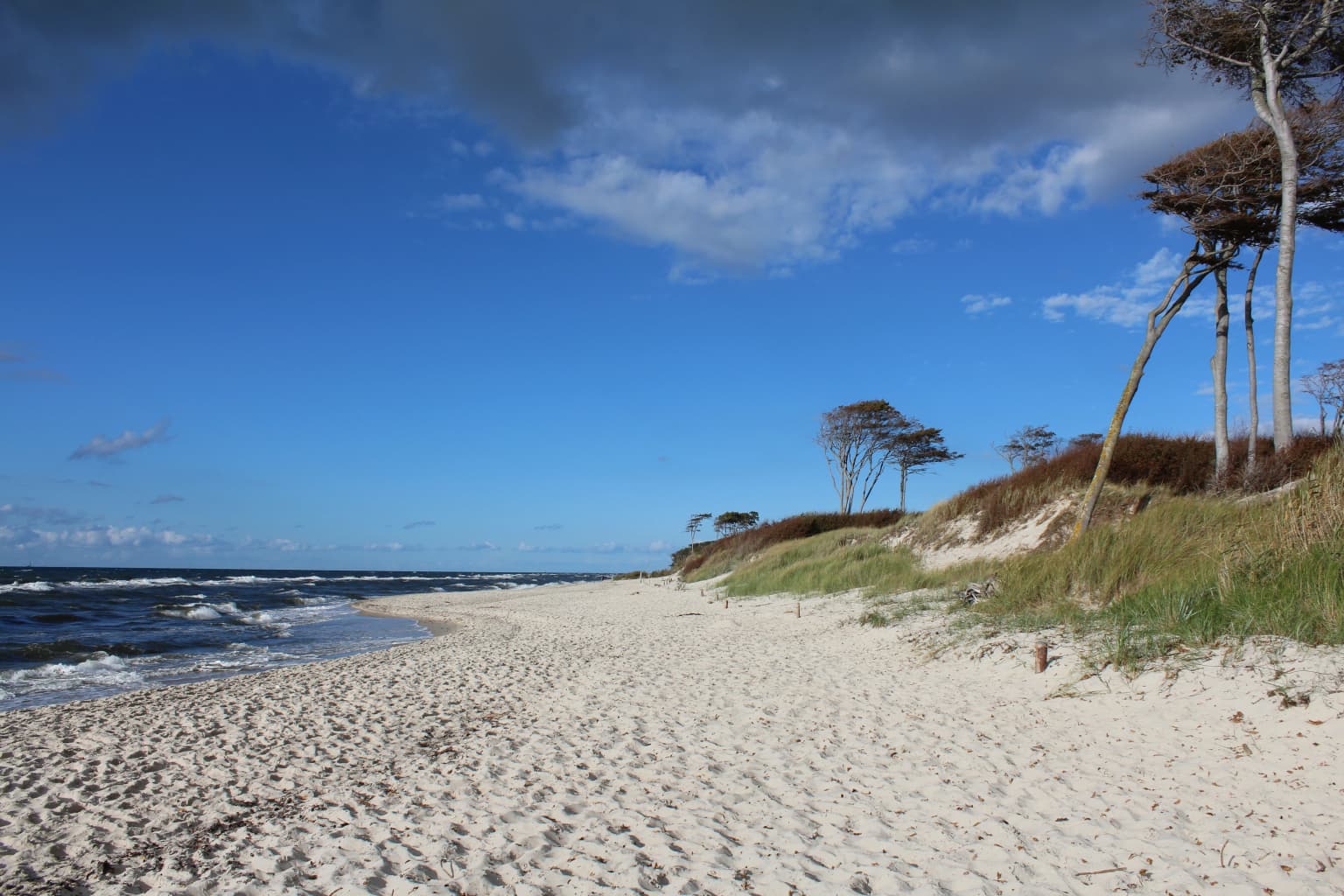 Sandy beach with gentle waves, coastal dunes, and scattered trees under a partly cloudy sky
