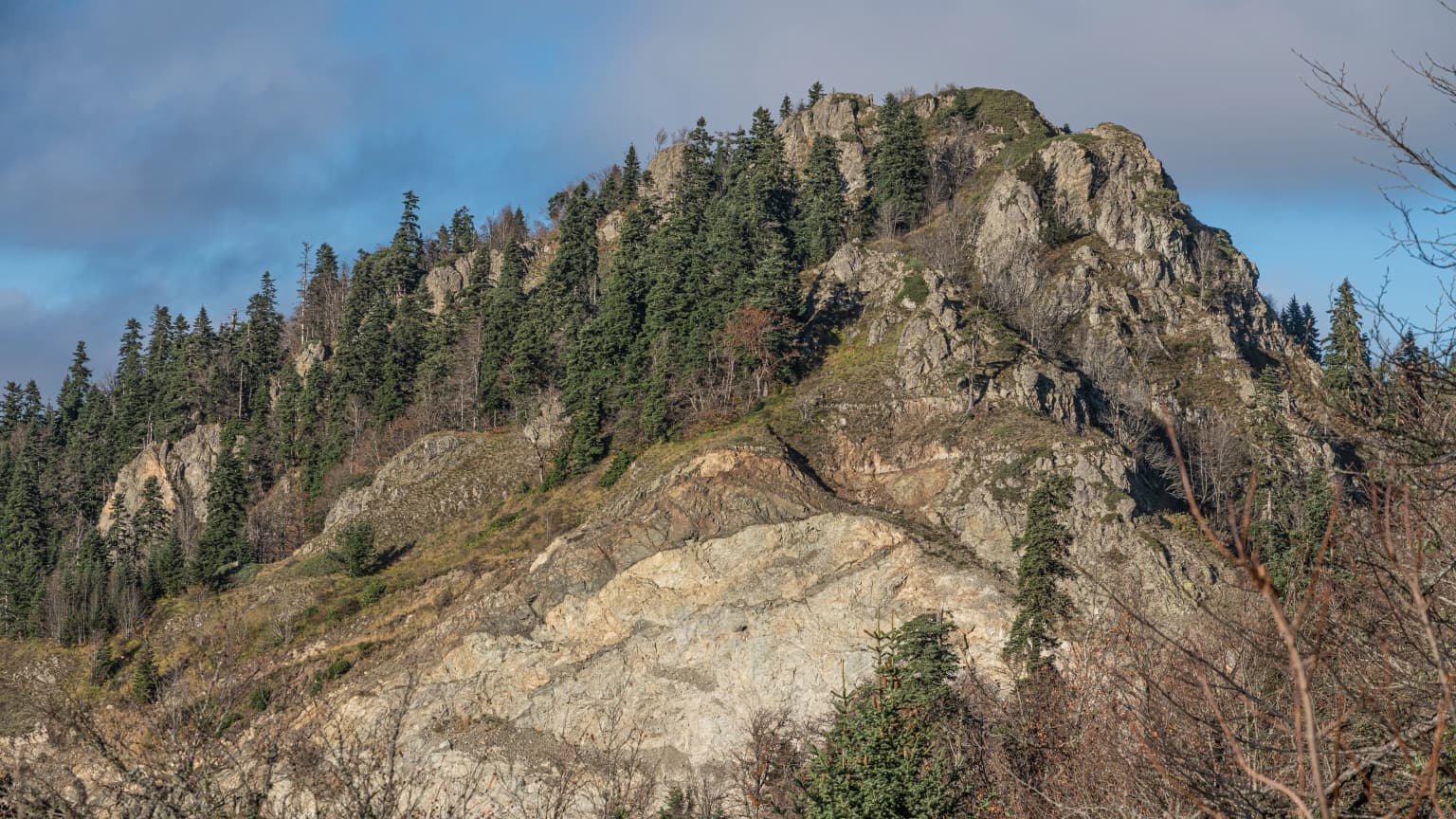 Rocky mountain slope with dense forest and clear sky