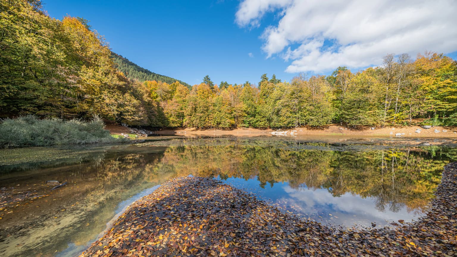 A serene lake reflecting autumn trees and a clear blue sky, surrounded by forested hills with fallen leaves on the shore