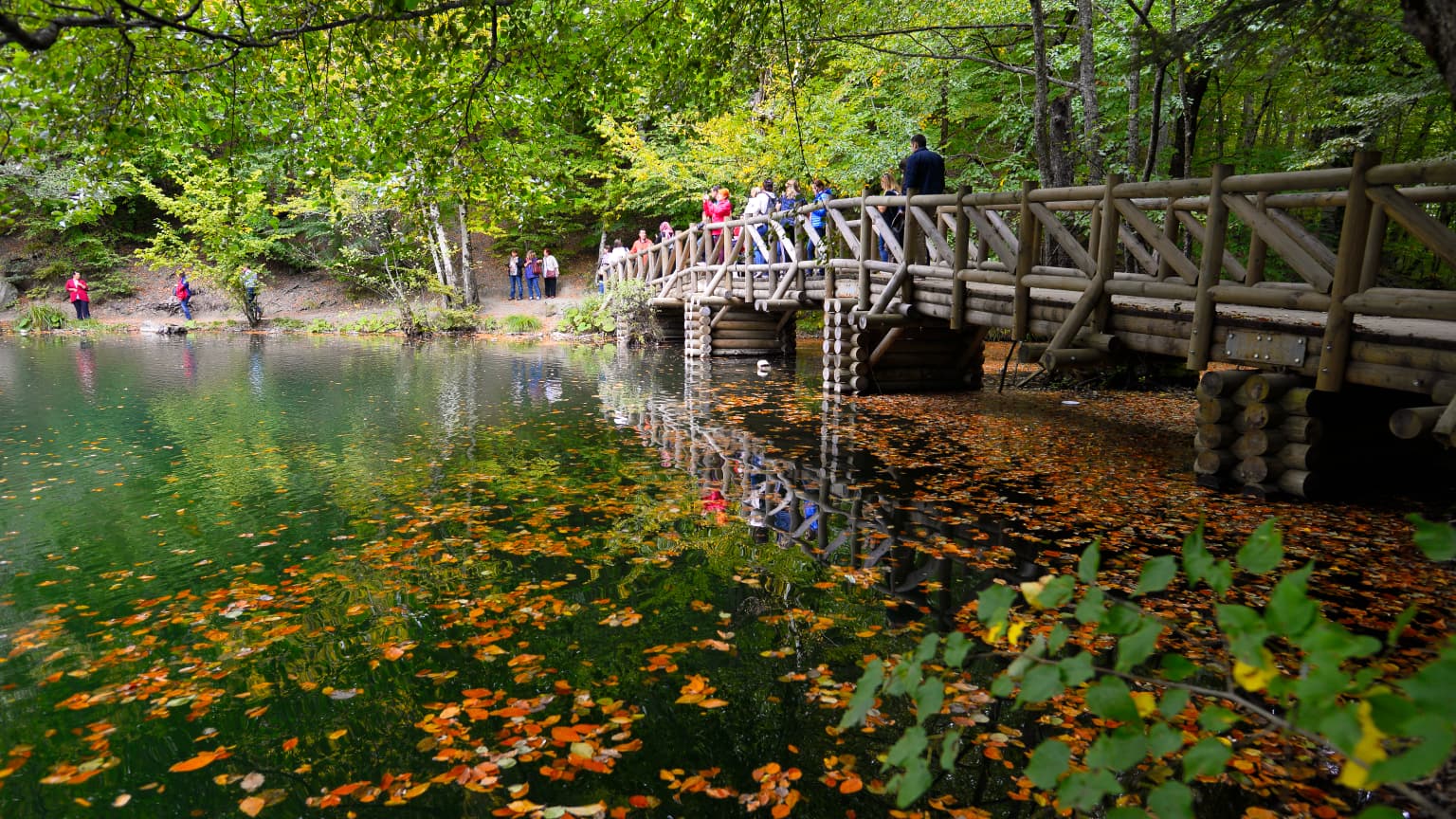 Wooden bridge over a lake with autumn leaves floating on the water, surrounded by green and yellow foliage, with people visible on the bridge and shoreline