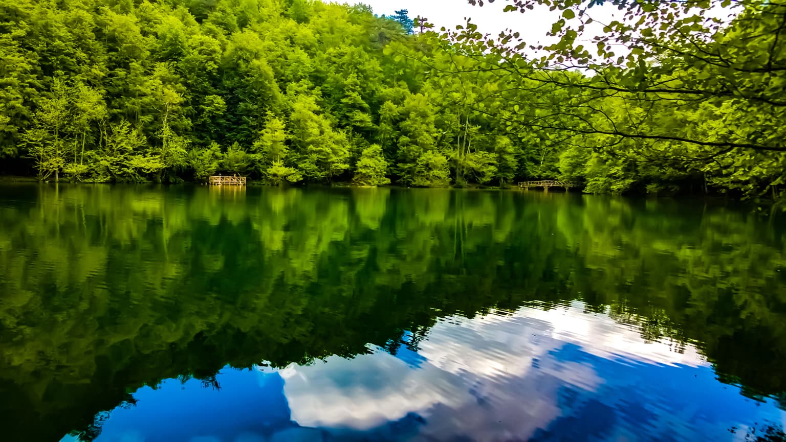 Still lake surrounded by dense green forest with cloud reflections in the water