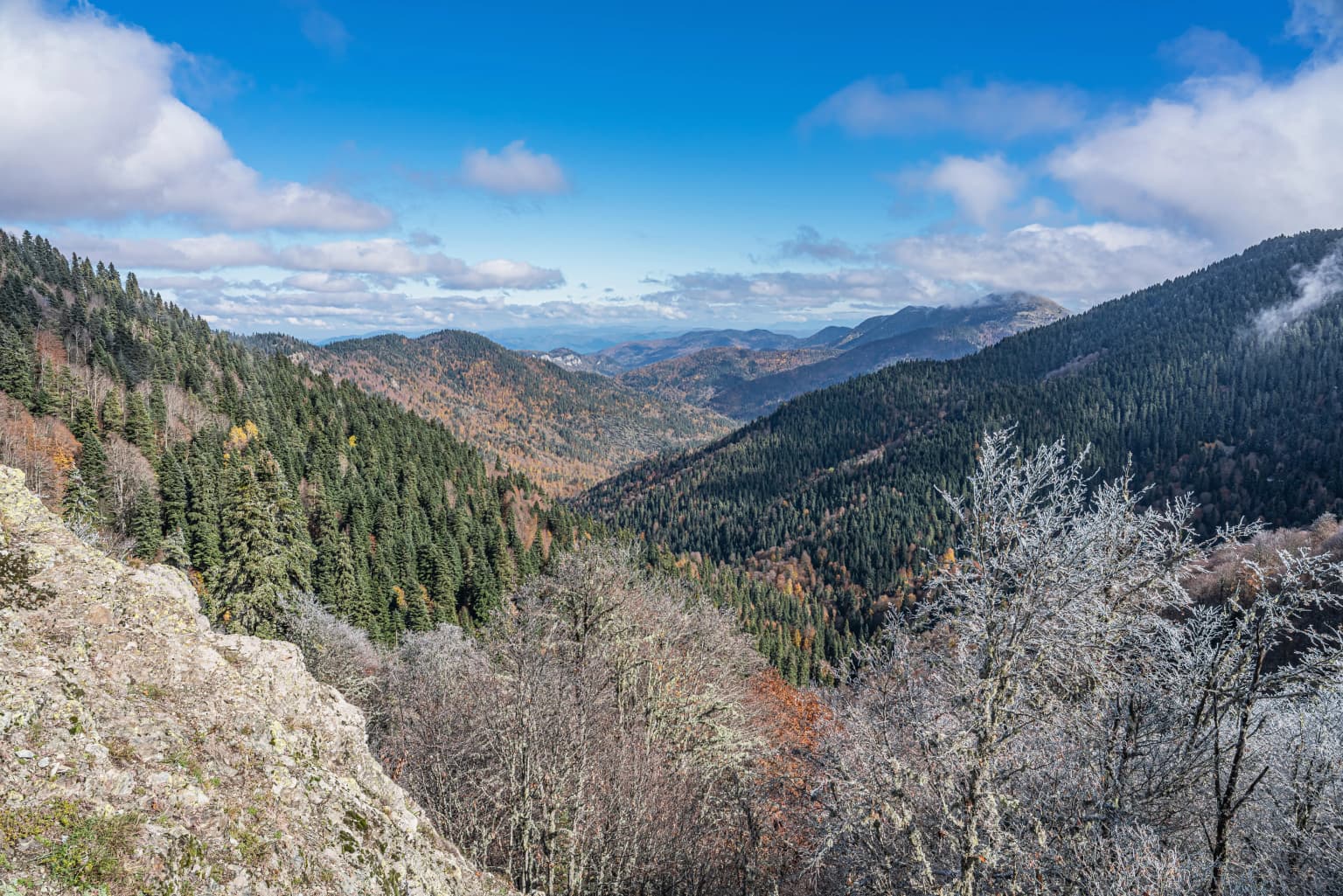 Mountain valley with forested slopes, rocky outcrop in foreground, and partly cloudy blue sky