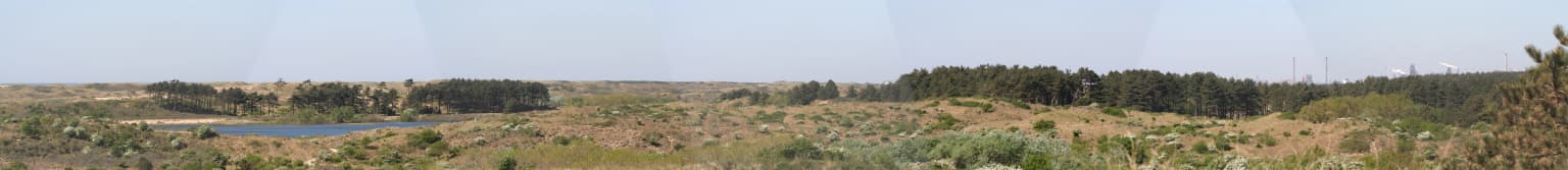 Panoramic view of a coastal dune landscape with a lake visible in the distance